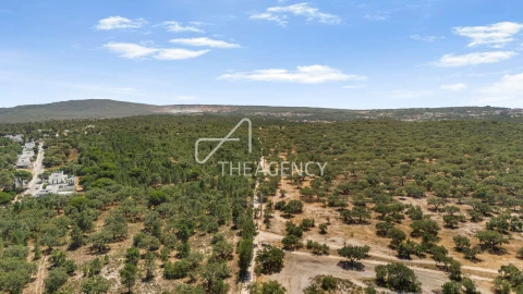 Terreno para Venda em Quinta do Conde