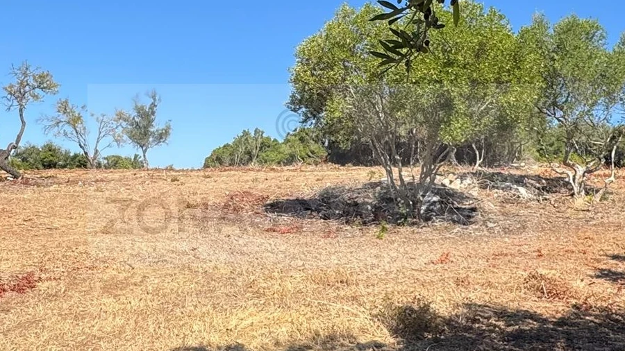 Terreno para Venda em Lagos (São Sebastião e Santa Maria)