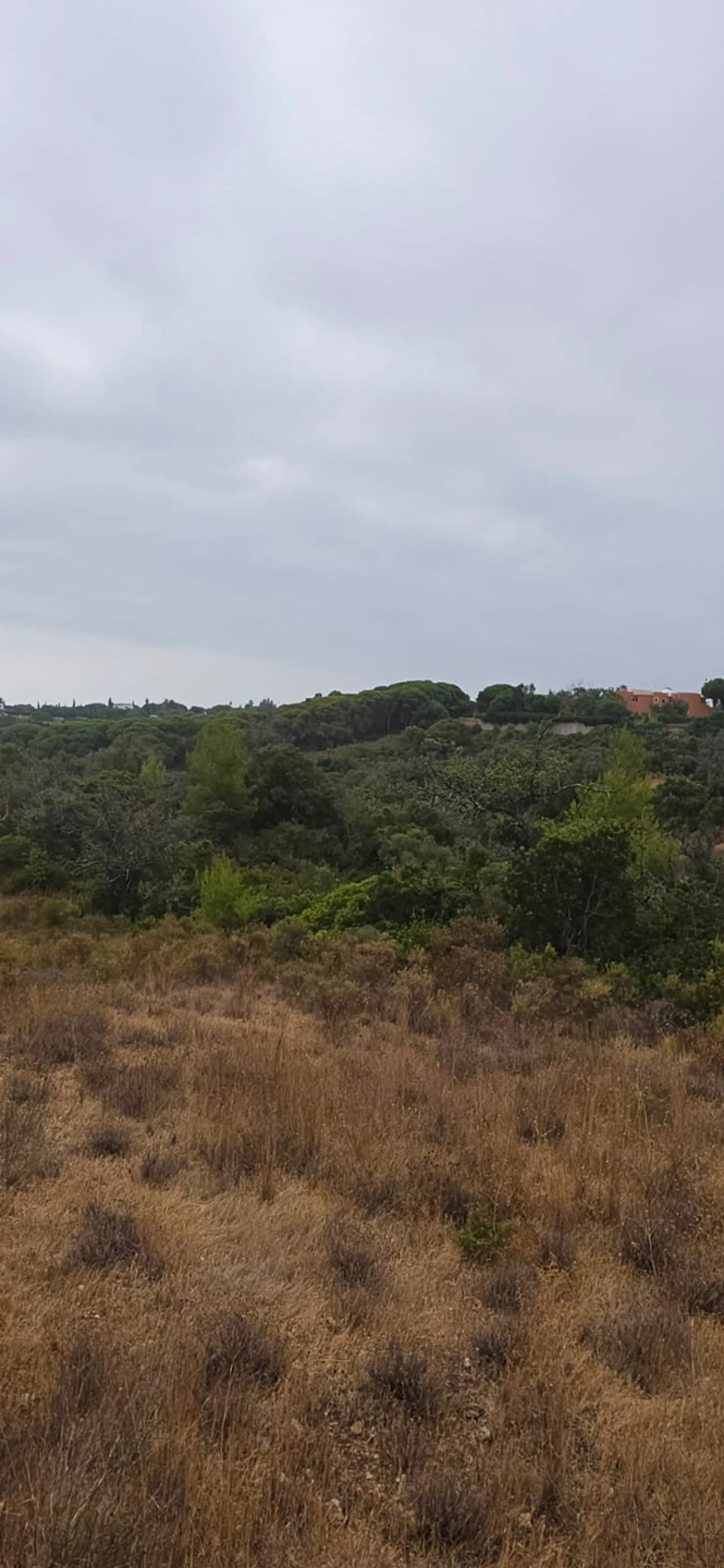 Terreno para Venda em Porches Foto 4