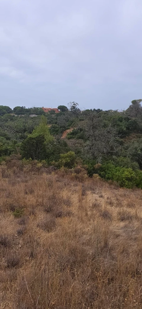 Terreno para Venda em Porches