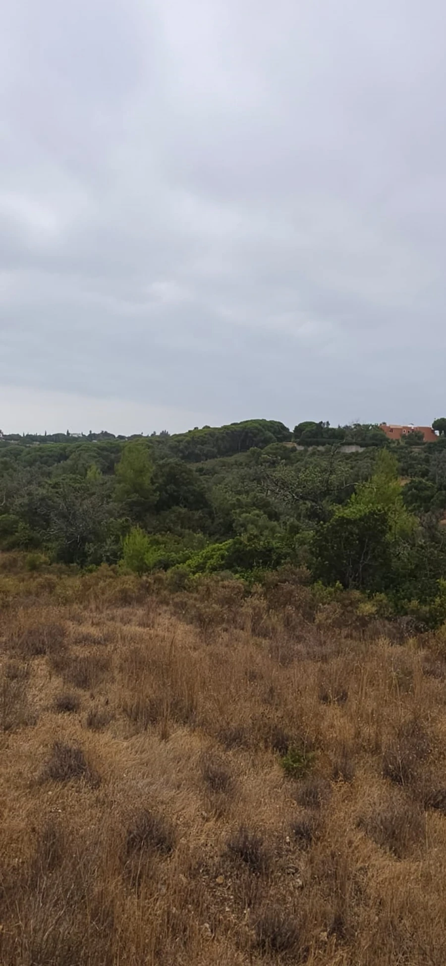 Terreno para Venda em Porches Foto 4