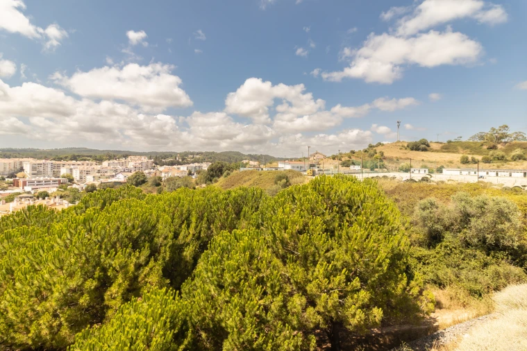 Apartamento T2 para Venda em Agualva e Mira-Sintra Foto 7