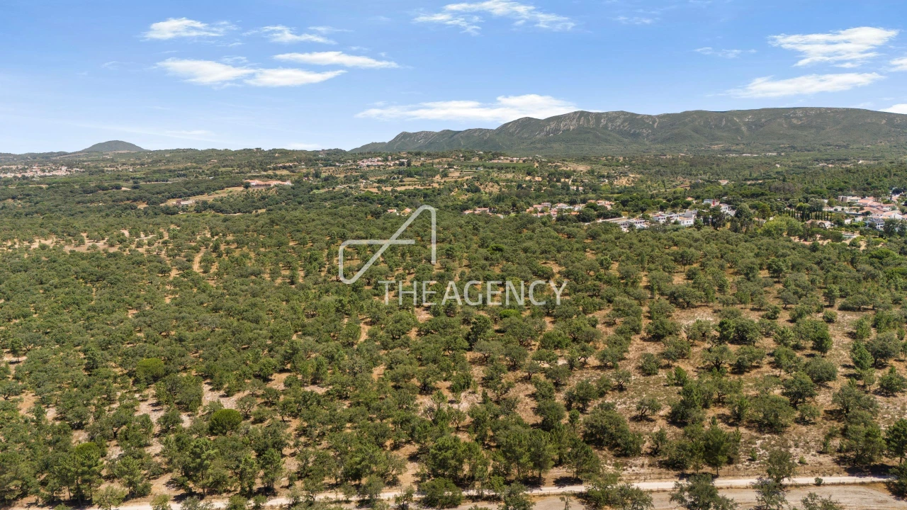 Terreno para Venda em Quinta do Conde Foto 3