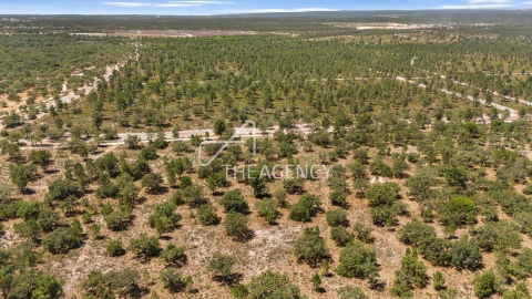 Terreno para Venda em Quinta do Conde