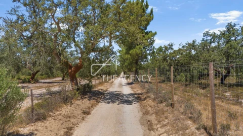 Terreno para Venda em Quinta do Conde