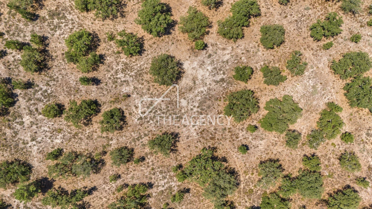 Terreno para Venda em Quinta do Conde Foto 1