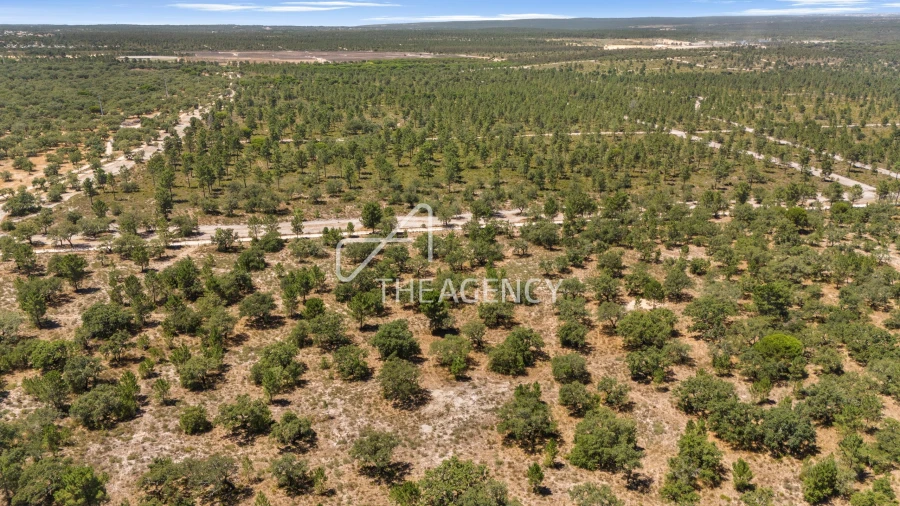 Terreno para Venda em Quinta do Conde Foto 2