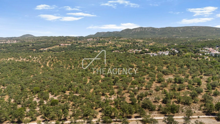 Terreno para Venda em Quinta do Conde Foto 3