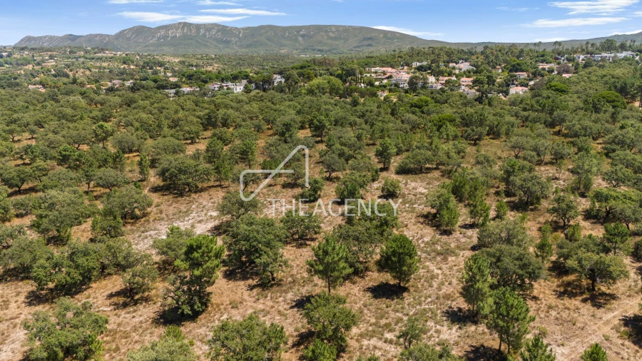 Terreno para Venda em Quinta do Conde Foto 6