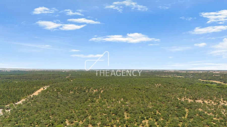 Terreno para Venda em Quinta do Conde Foto 9