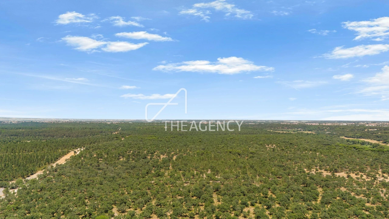 Terreno para Venda em Quinta do Conde Foto 9