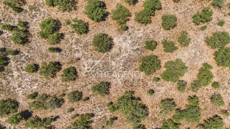 Terreno para Venda em Quinta do Conde