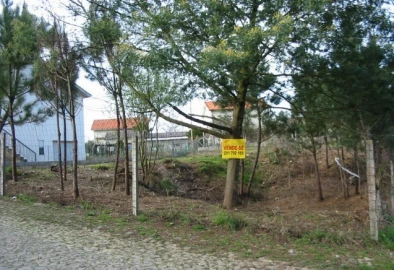 Terreno para Venda em Campos e Vila Meã