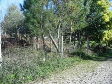 Terreno para Venda em Campos e Vila Meã