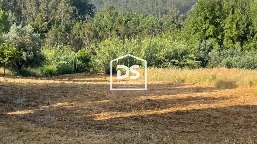 Terreno para Venda em Carnide