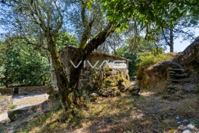 Moradia T0 para Venda em Cabril