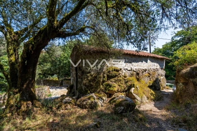 Moradia T0 para Venda em Cabril