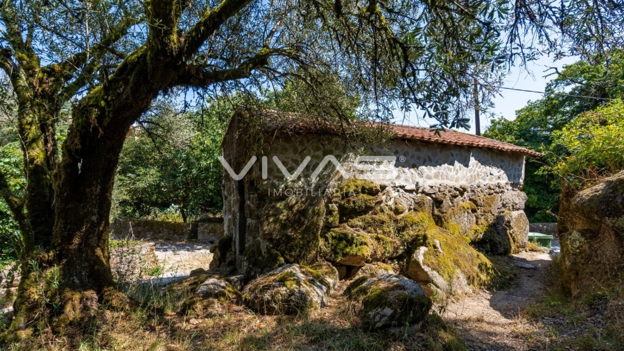 Moradia T0 para Venda em Cabril