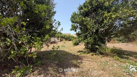 Terreno para Venda em Lavos