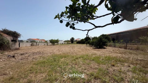 Terreno para Venda em Lavos