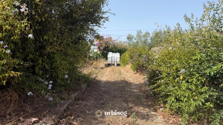 Terreno para Venda em Lavos Foto 10