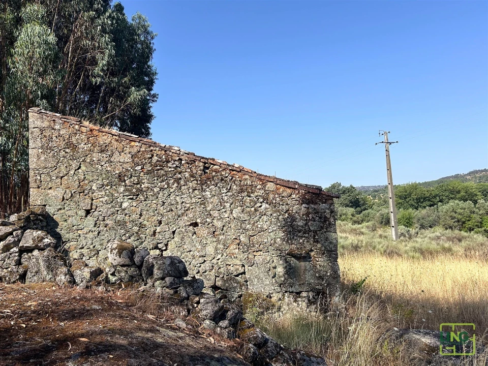 Terreno Agricola ou Rústico para Venda em Aranhas Foto 36