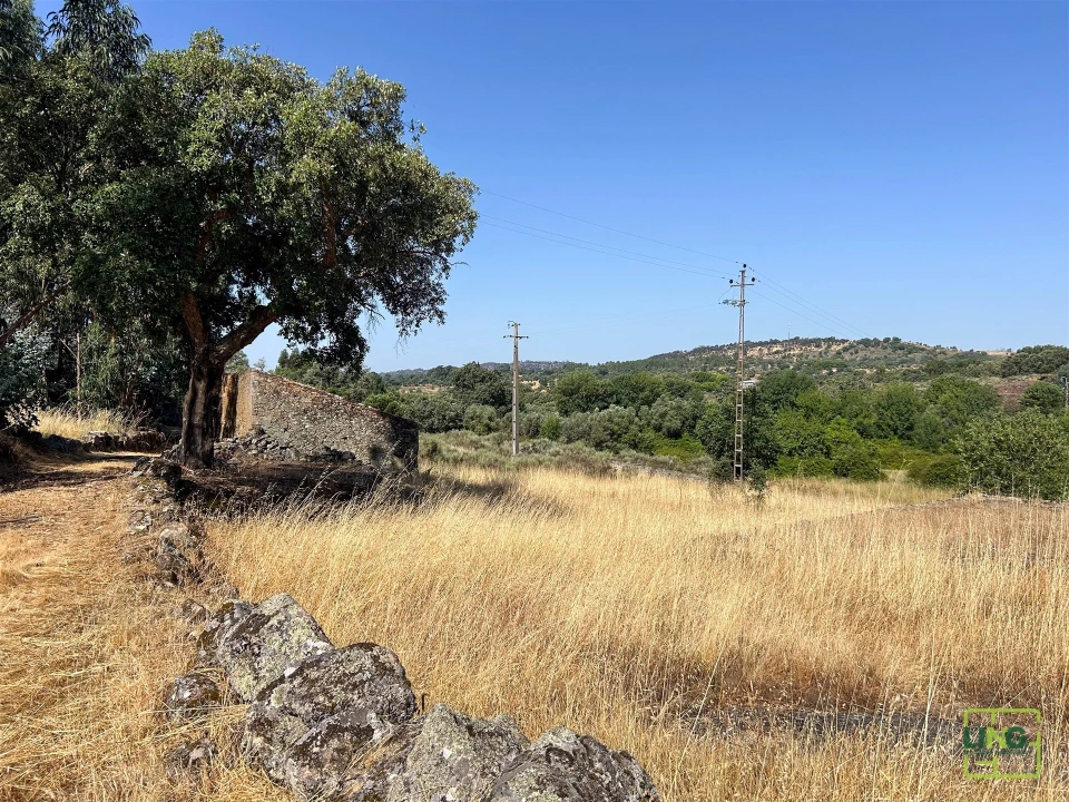 Terreno Agricola ou Rústico para Venda em Aranhas Foto 44