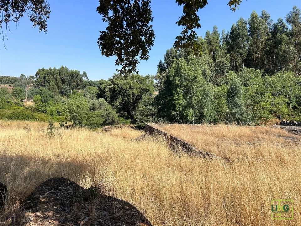Terreno Agricola ou Rústico para Venda em Aranhas Foto 33