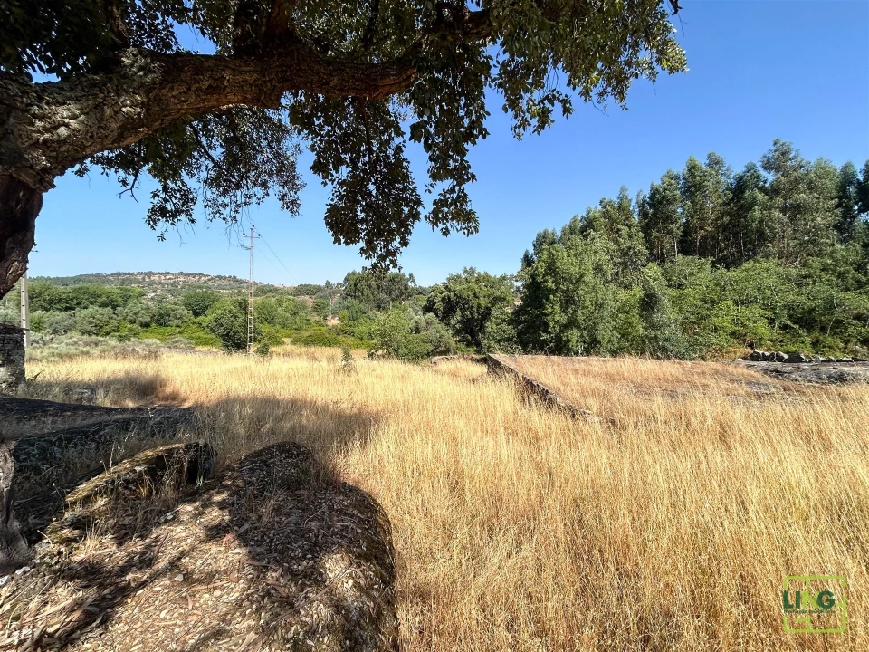 Terreno Agricola ou Rústico para Venda em Aranhas Foto 43