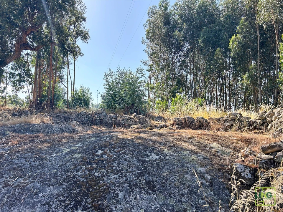 Terreno Agricola ou Rústico para Venda em Aranhas Foto 41