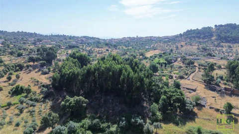 Terreno Agricola ou Rústico para Venda em Aranhas