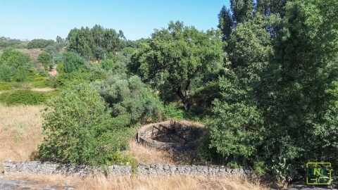 Terreno Agricola ou Rústico para Venda em Aranhas