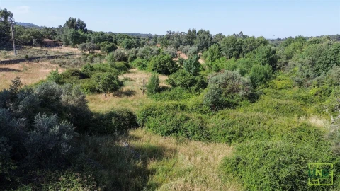 Terreno Agricola ou Rústico para Venda em Aranhas