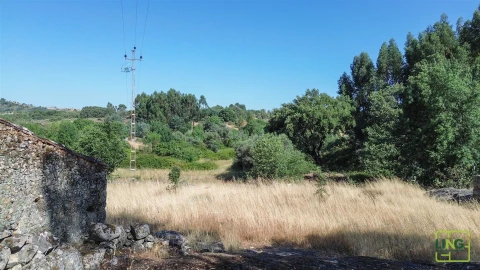 Terreno Agricola ou Rústico para Venda em Aranhas