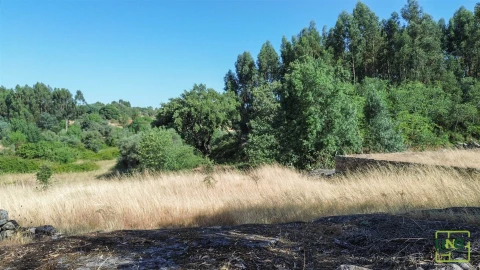 Terreno Agricola ou Rústico para Venda em Aranhas