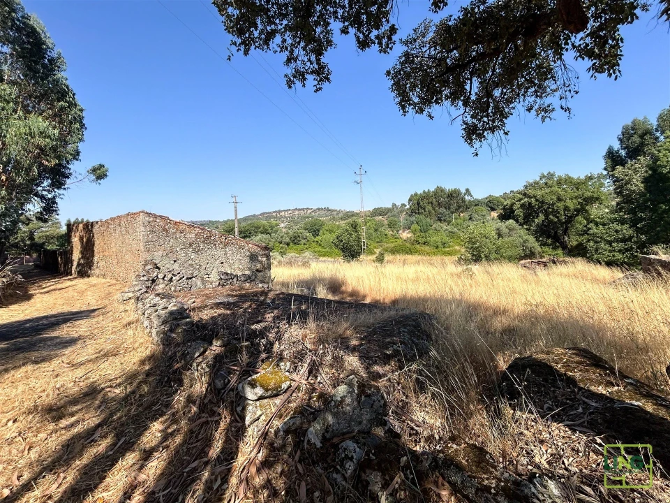 Terreno Agricola ou Rústico para Venda em Aranhas Foto 35