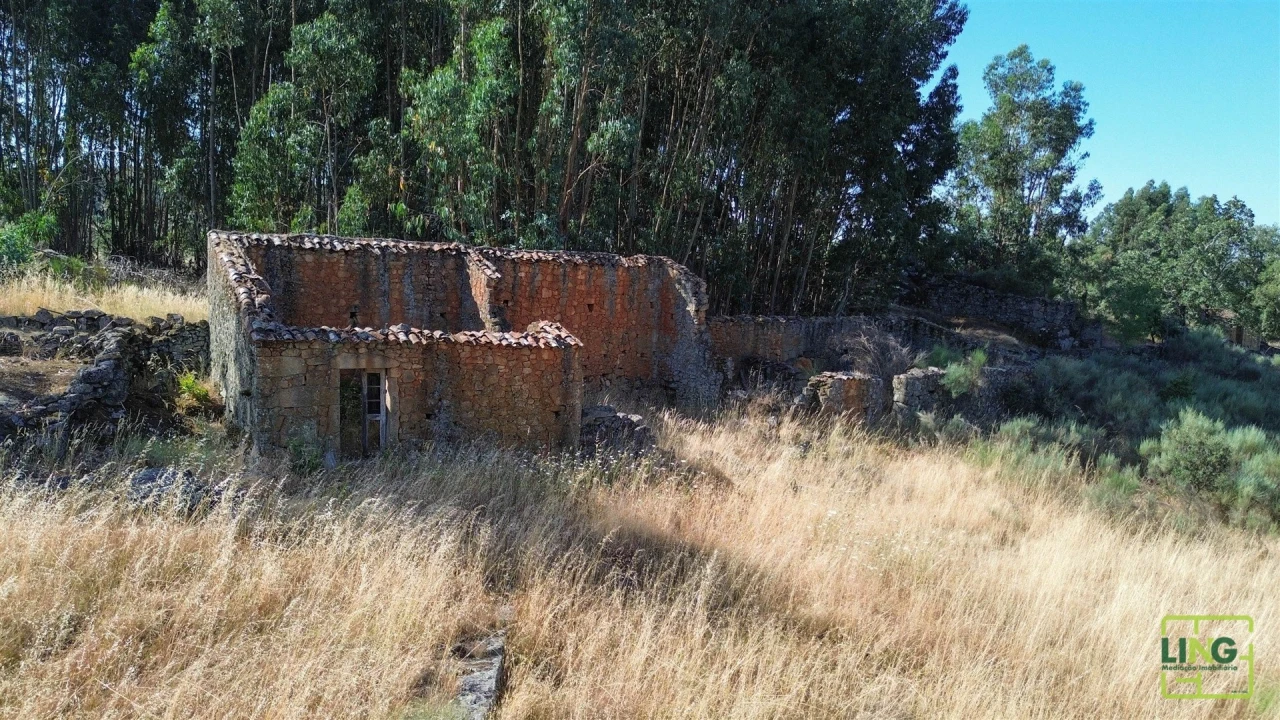 Terreno Agricola ou Rústico para Venda em Aranhas Foto 24