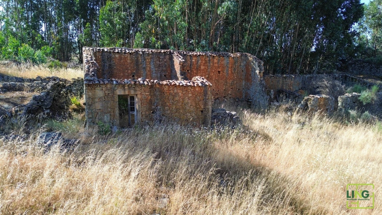 Terreno Agricola ou Rústico para Venda em Aranhas Foto 2