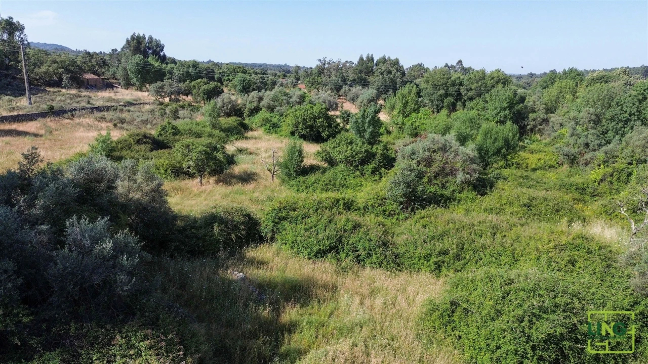 Terreno Agricola ou Rústico para Venda em Aranhas Foto 14