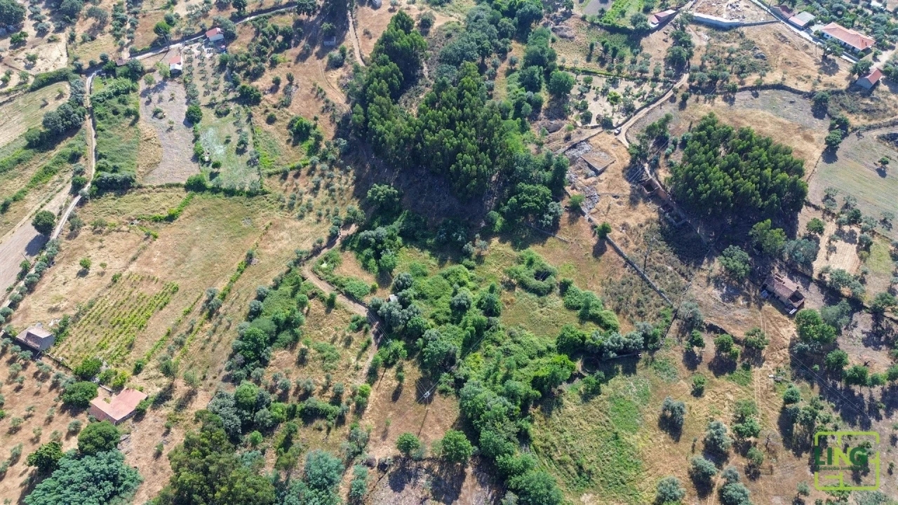 Terreno Agricola ou Rústico para Venda em Aranhas Foto 9