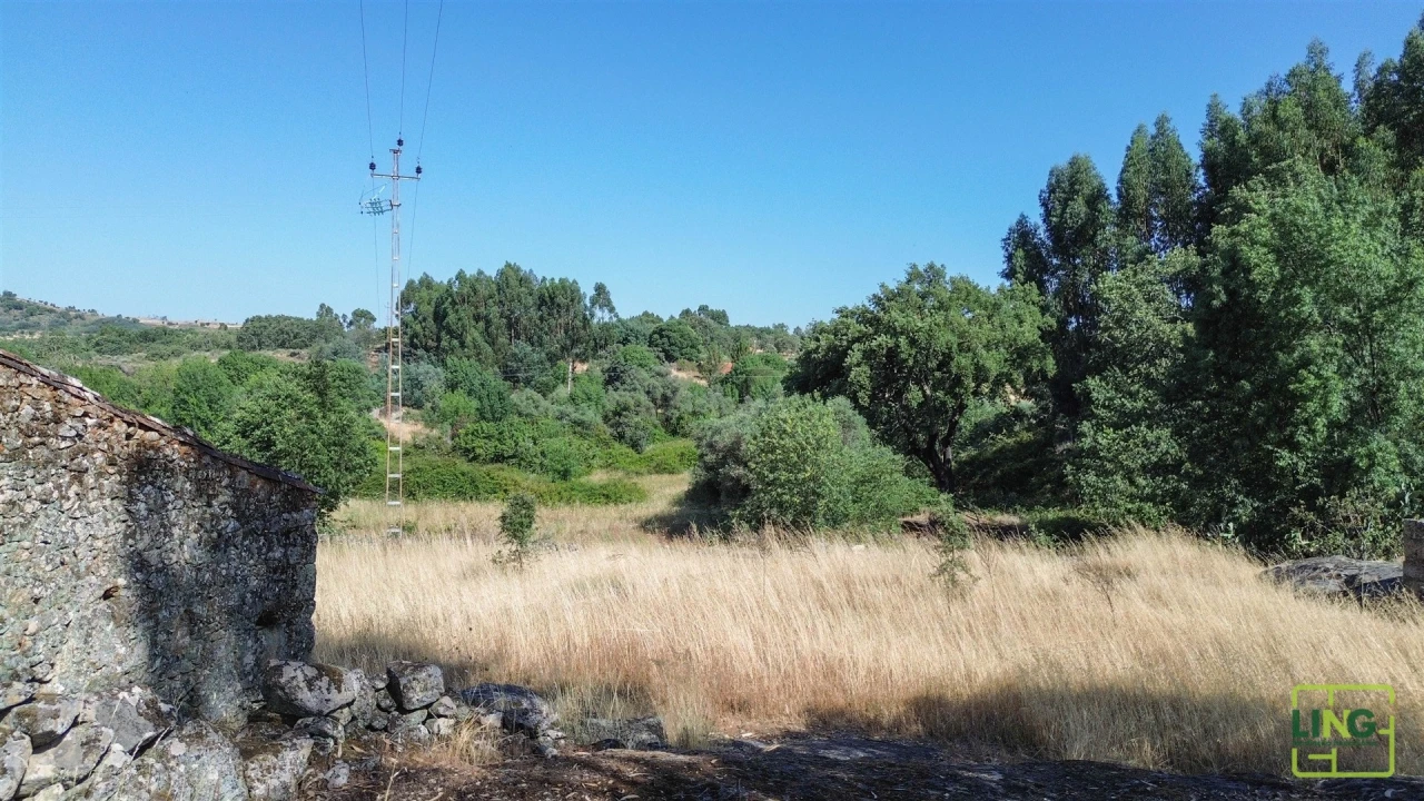 Terreno Agricola ou Rústico para Venda em Aranhas Foto 27
