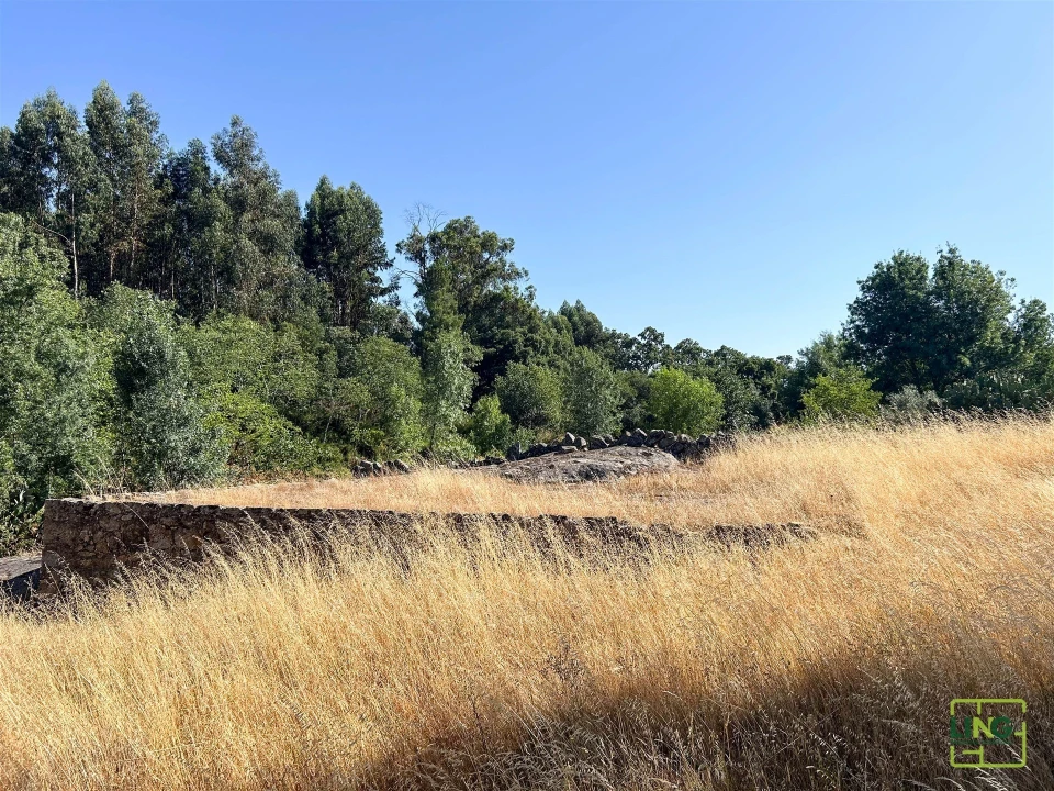 Terreno Agricola ou Rústico para Venda em Aranhas Foto 38
