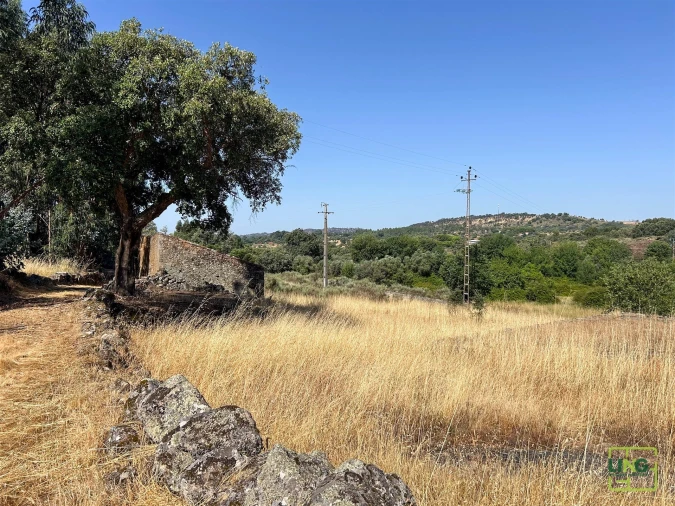 Terreno Agricola ou Rústico para Venda em Aranhas Foto 44