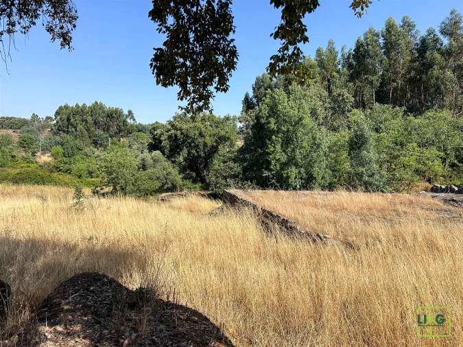 Terreno Agricola ou Rústico para Venda em Aranhas Foto 33