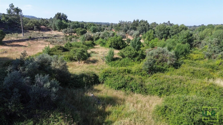 Terreno Agricola ou Rústico para Venda em Aranhas Foto 16