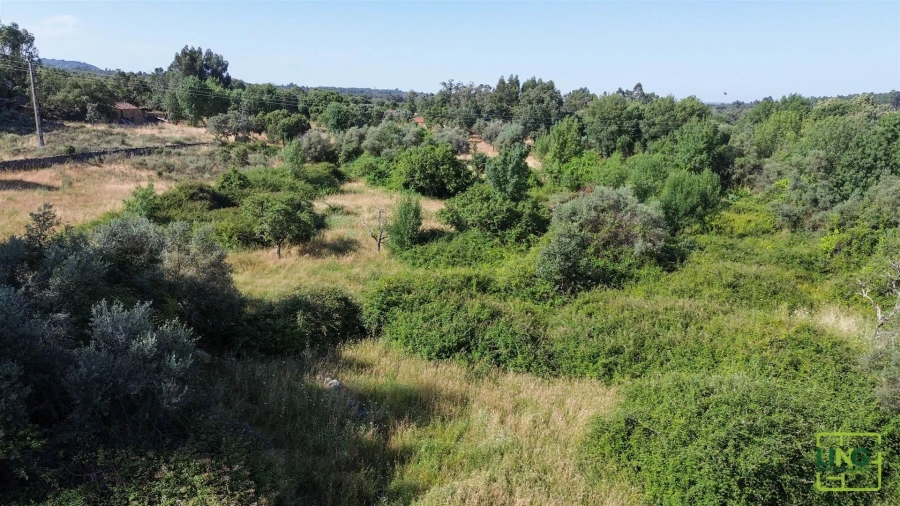 Terreno Agricola ou Rústico para Venda em Aranhas Foto 14
