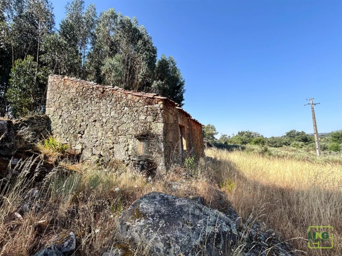 Terreno Agricola ou Rústico para Venda em Aranhas Foto 40