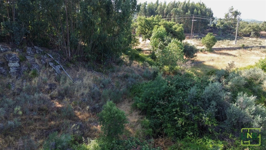Terreno Agricola ou Rústico para Venda em Aranhas Foto 15