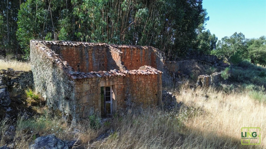 Terreno Agricola ou Rústico para Venda em Aranhas Foto 25