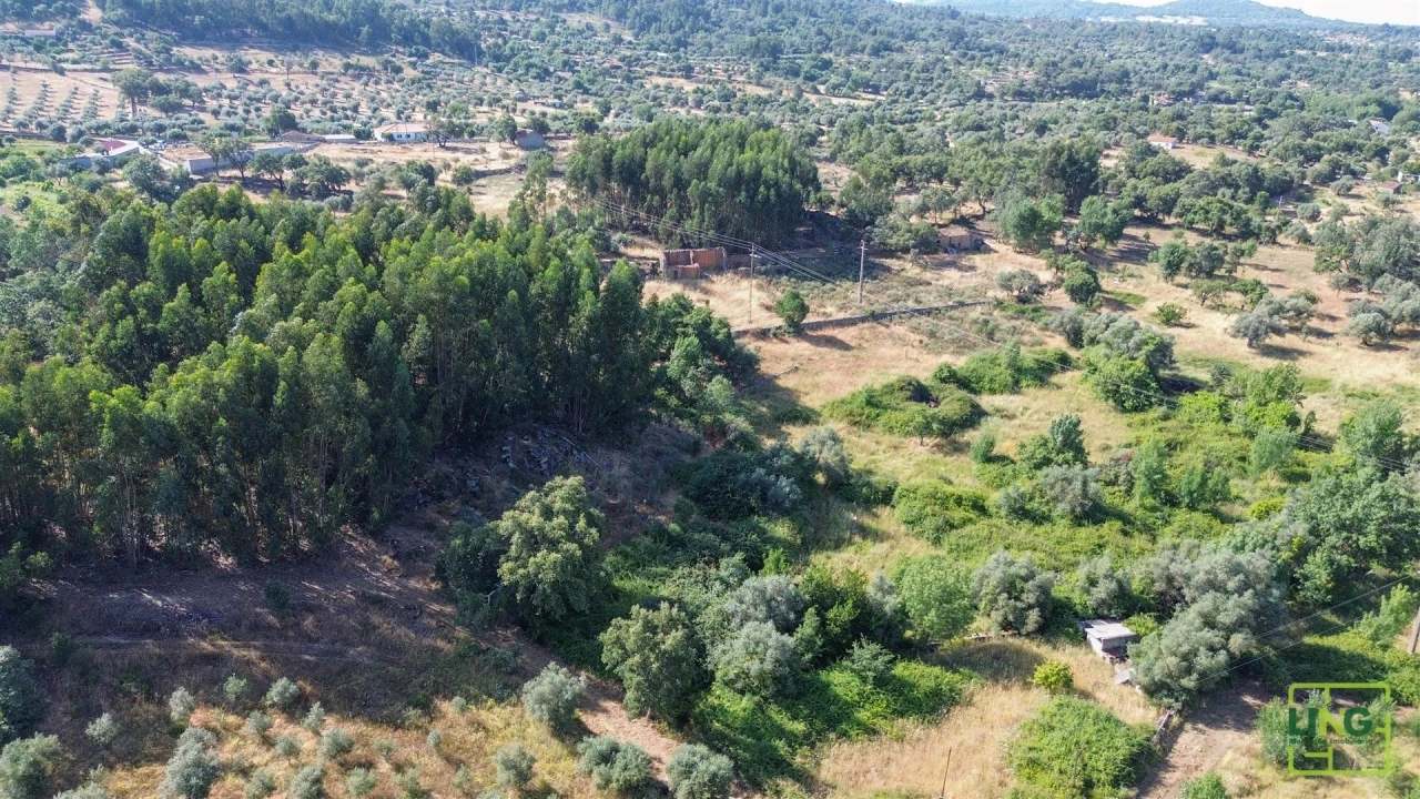 Terreno Agricola ou Rústico para Venda em Aranhas Foto 13